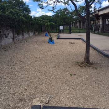 Challenger Park Dog Friendly Area photo 2